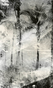 Dimex Palm Trees Abstract Papier Peint 150x250cm 2 bandes | yourdeclineoration.com