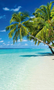 Dimex Paradise Beach Papier Peint 150x250cm 2 bandes | yourdeclineoration.com