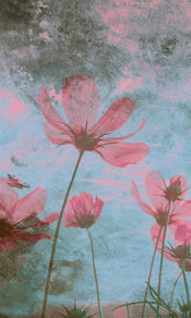 Dimex Pink Flower Abstract Papier Peint 150x250cm 2 bandes | yourdeclineoration.com