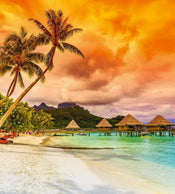 Dimex Polynesia Papier Peint 225x250cm 3 bandes | yourdeclineoration.com