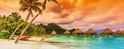 Dimex Polynesia Papier Peint 375x150cm 5 bandes | yourdeclineoration.com