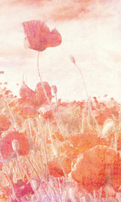 Dimex Poppies Abstract Papier Peint 150x250cm 2 bandes | yourdeclineoration.com