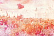 Dimex Poppies Abstract Papier Peint 375x250cm 5 bandes | yourdeclineoration.com