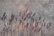Dimex Reed Abstract Papier Peint 375x250cm 5 bandes | yourdeclineoration.com
