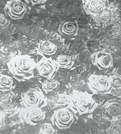 Dimex Roses Abstract II Papier Peint 225x250cm 3 bandes | yourdeclineoration.com