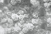 Dimex Roses Abstract II Papier Peint 375x250cm 5 bandes | yourdeclineoration.com
