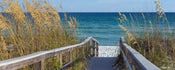 Dimex Sandy Boardwalk Papier Peint 375x150cm 5 bandes | yourdeclineoration.com