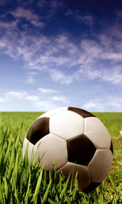Dimex Soccer Ball Papier Peint 150x250cm 2 bandes | yourdeclineoration.com