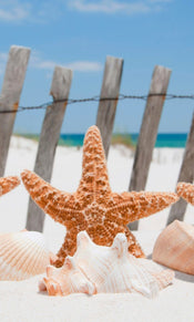Dimex Starfish Papier Peint 150x250cm 2 bandes | yourdeclineoration.com