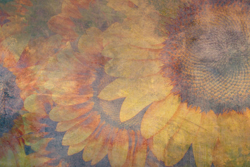 Dimex Sunflower Abstract Papier Peint 375x250cm 5 bandes | yourdeclineoration.com
