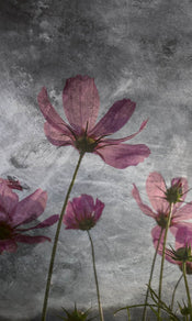 Dimex Violet Flower Abstract Papier Peint 150x250cm 2 bandes | yourdeclineoration.com