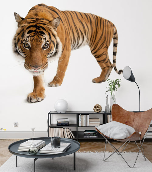 Komar Tijger Papier Peint Intissé 300X280cm 6 pièces ambiance | yourdeclineoration.com
