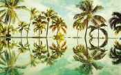Komar Key West Papier Peint Intissé 400x250cm 4 bandes | yourdeclineoration.com