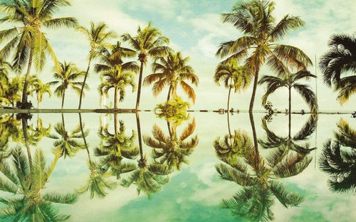 Komar Key West Papier Peint Intissé 400x250cm 4 bandes | yourdeclineoration.com