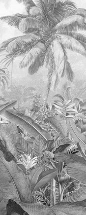 Komar Amazonia Black and White Papier Peint Intissé 100x250cm 1 bande | yourdeclineoration.com