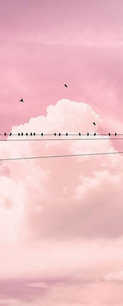 Komar Cloud Wire Papier Peint Intissé 100x250cm 1 bande | yourdeclineoration.com