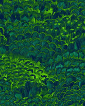 Komar Feathers Papier Peint Intissé 200x250cm 2 bandes | yourdeclineoration.com