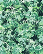 Komar Evergreen Papier Peint Intissé 200x250cm 2 bandes | yourdeclineoration.com