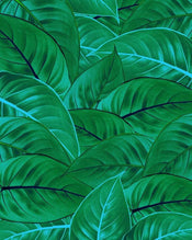 Komar Jungle Leaves Papier Peint Intissé 200x250cm 2 bandes | yourdeclineoration.com