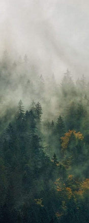 Komar Tales of the Carpathians Papier Peint Intissé 100x250cm 1 bande | yourdeclineoration.com