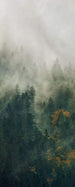 Komar Tales of the Carpathians Papier Peint Intissé 100x250cm 1 bande | yourdeclineoration.com