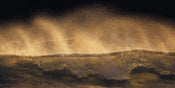 Komar Golden Wave Papier Peint Intissé 200x100cm 1 bande | yourdeclineoration.com