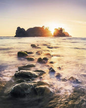 Komar Island Dreaming Papier Peint Intissé 200x250cm 2 bandes | yourdeclineoration.com