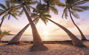 Komar Reaching the Sun Papier Peint Intissé 400x250cm 4 bandes | yourdeclineoration.com