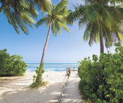 Komar Palmy Beach Papier Peint Intissé 300x250cm 3 bandes | yourdeclineoration.com