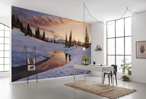 Komar America the Beautiful Papier Peint Intissé 450x280cm 9 bandes ambiance | yourdeclineoration.com