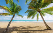 Komar Caribbean Days II Papier Peint Intissé 450x280cm 9 bandes | yourdeclineoration.com