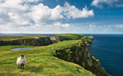 Komar Green Ireland Papier Peint Intissé 450x280cm 9 bandes | yourdeclineoration.com