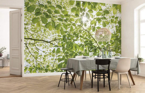 Komar Im Fruhlingswald Papier Peint Intissé 450x280cm 9 bandes ambiance | yourdeclineoration.com