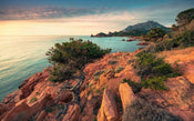 Komar Paradiso II Papier Peint Intissé 450x280cm 9 bandes | yourdeclineoration.com