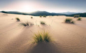 Komar Vivid Dunes Papier Peint Intissé 450x280cm 9 bandes | yourdeclineoration.com