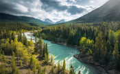 Komar Wild Canada Papier Peint Intissé 450x280cm 9 bandes | yourdeclineoration.com