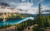 Komar Wonderland Canada Papier Peint Intissé 450x280cm 9 bandes | yourdeclineoration.com