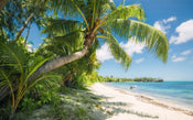 Komar Fiji Dreams Boat Papier Peint Intissé 450x280cm 9 bandes | yourdeclineoration.com