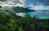 Komar Jurassic Island Papier Peint Intissé 450x280cm 9 bandes | yourdeclineoration.com