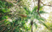 Komar Touch the Jungle Papier Peint Intissé 450x280cm 9 bandes | yourdeclineoration.com
