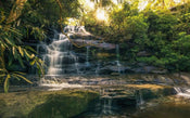 Komar Golden Falls Papier Peint Intissé 450x280cm 9 bandes | yourdeclineoration.com