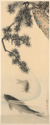 Komar Koi Papier Peint 100x250cm 2 bandes | yourdeclineoration.com